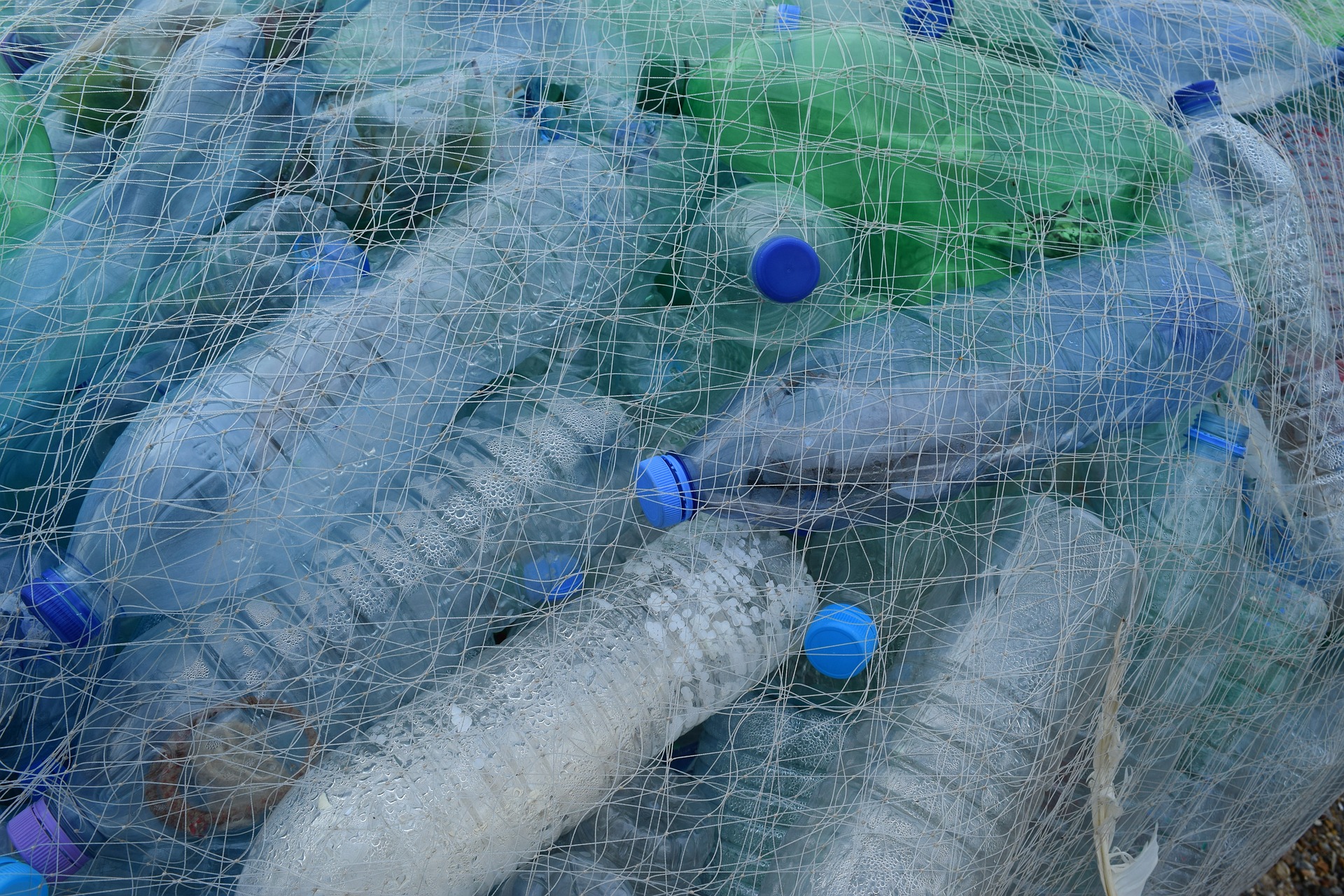 Biodegradable plastic from cassava