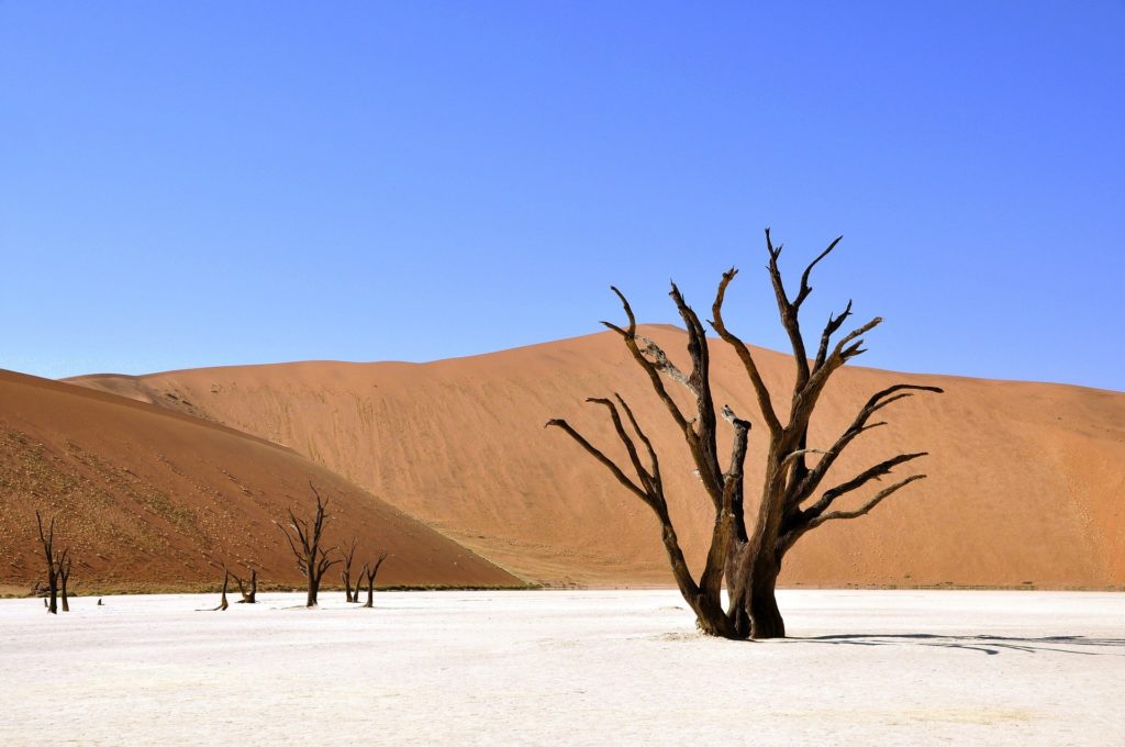 Naturschönheiten Afrikas - Trockenheit und Trinkwassermangel