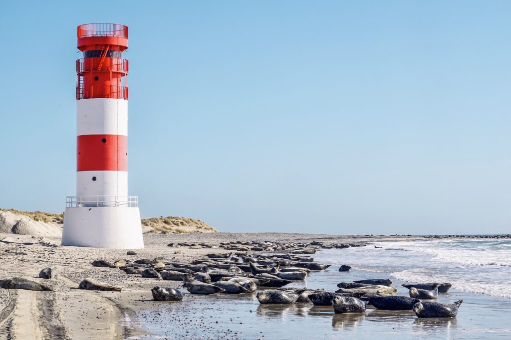 Deutsche Nordsee: Wattenmeer, Nationalpark und Elbmündung