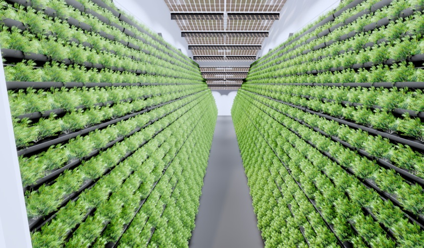 Energieverbrauch in Indoor-Farming-Systemen