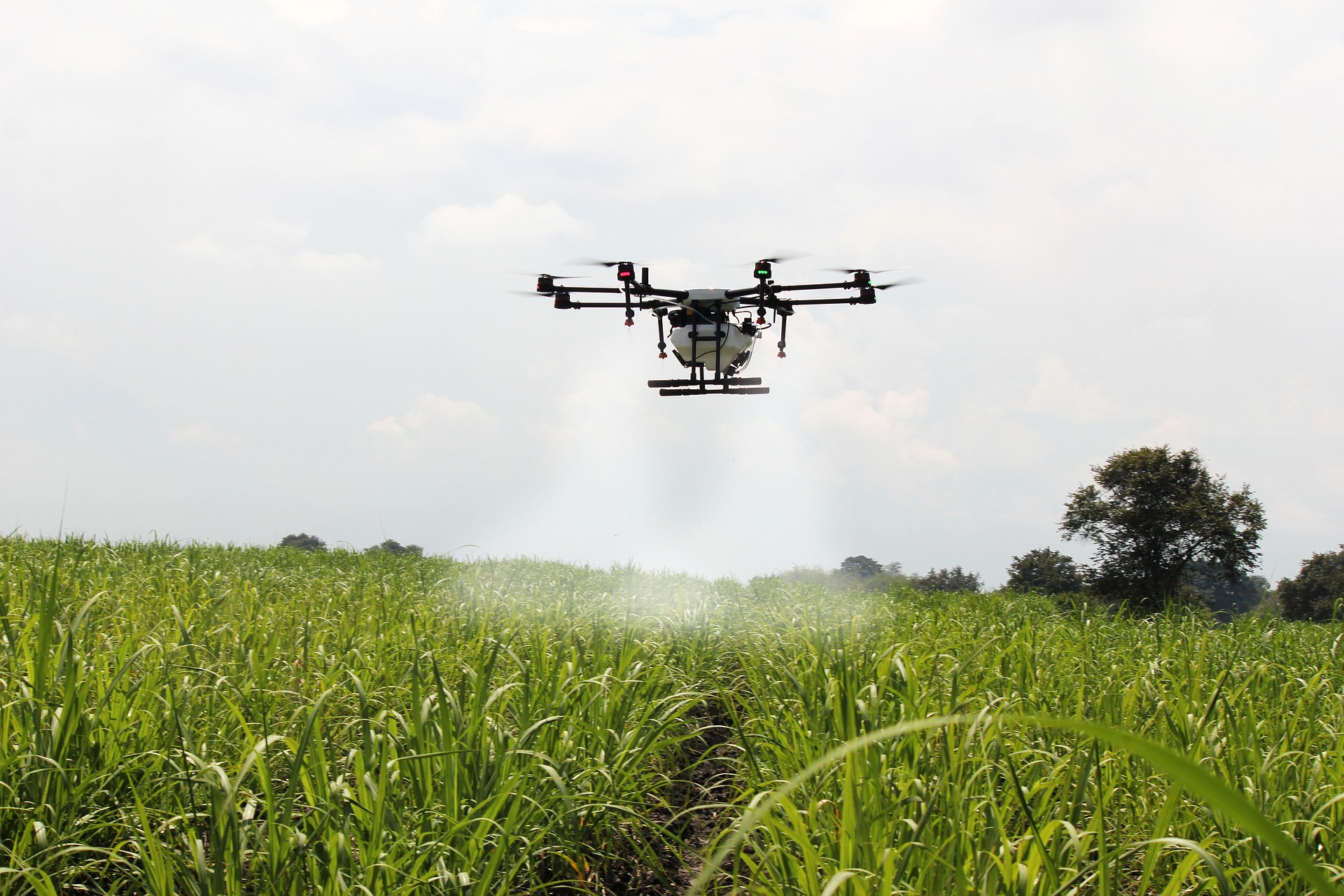 Next Big Think: Digitalisierung mit Nachhaltigkeit in der Agrarwirtschaft