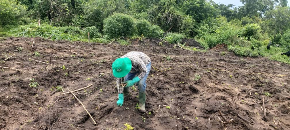 Gemeinsam die nigerianische Landwirtschaft transformieren