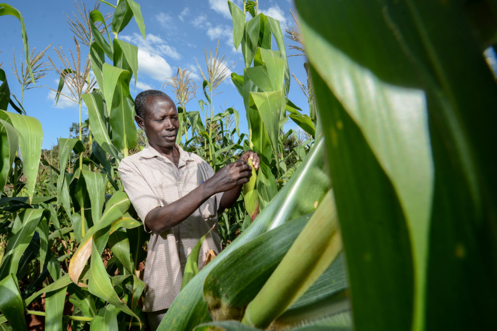 Food supply in Nigeria - productivity progress 2022