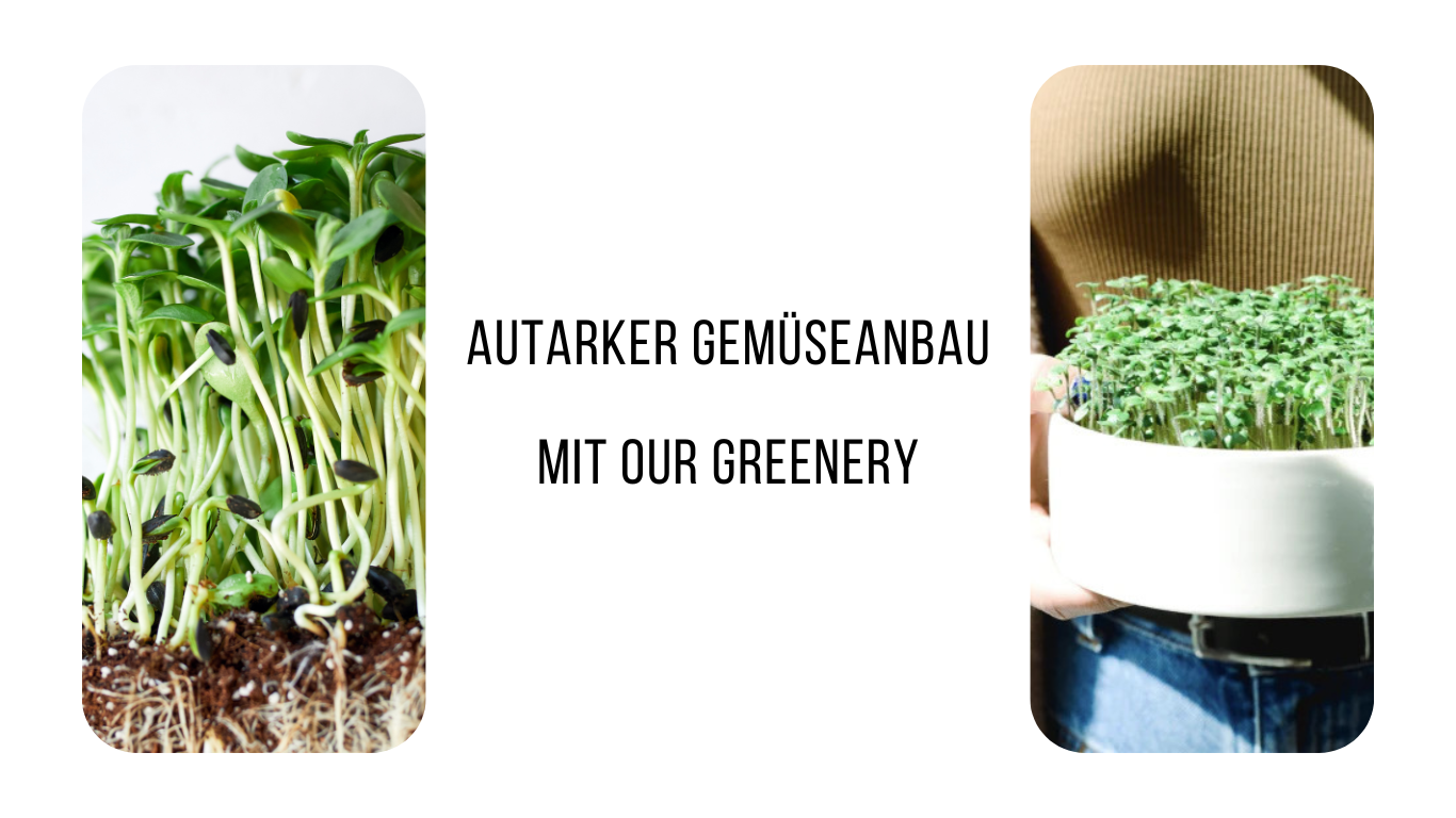 Autarker Gemüseanbau mit Our Greenery