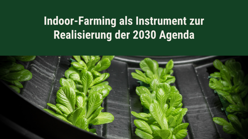 MABEWO AG - Agenda 2030