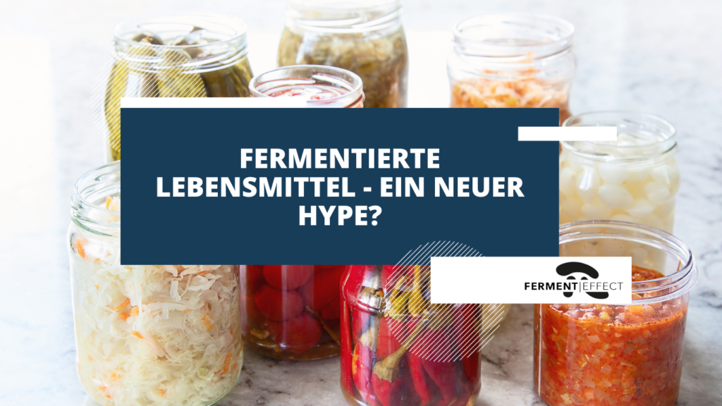 Ferment Effect - Fermentation Lebensmittel