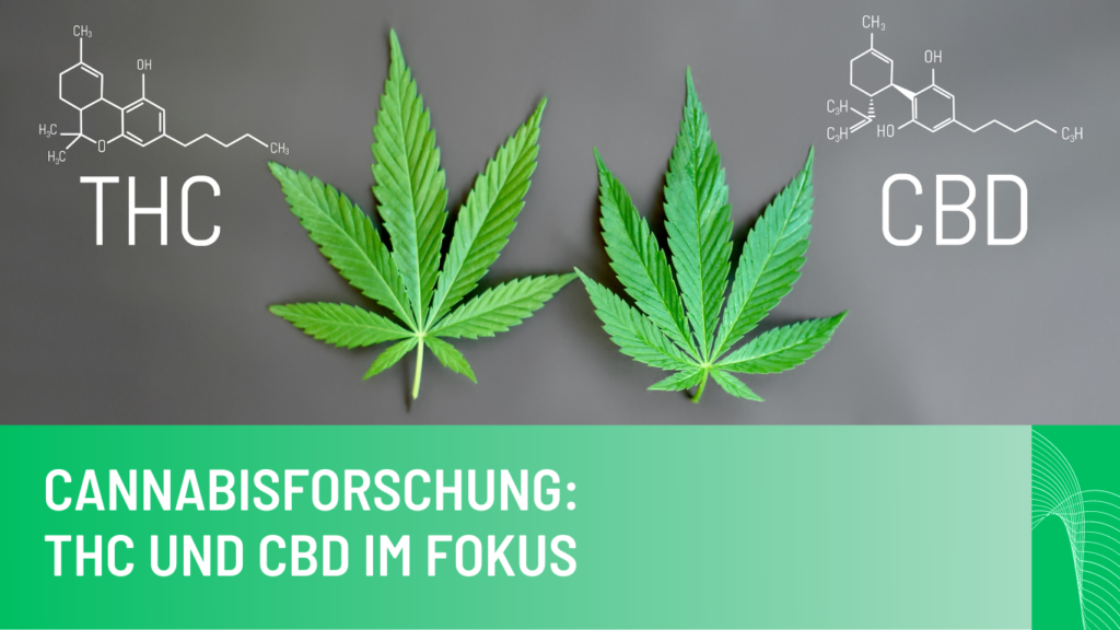 Helvezia AG - THC und CBD im Fokus