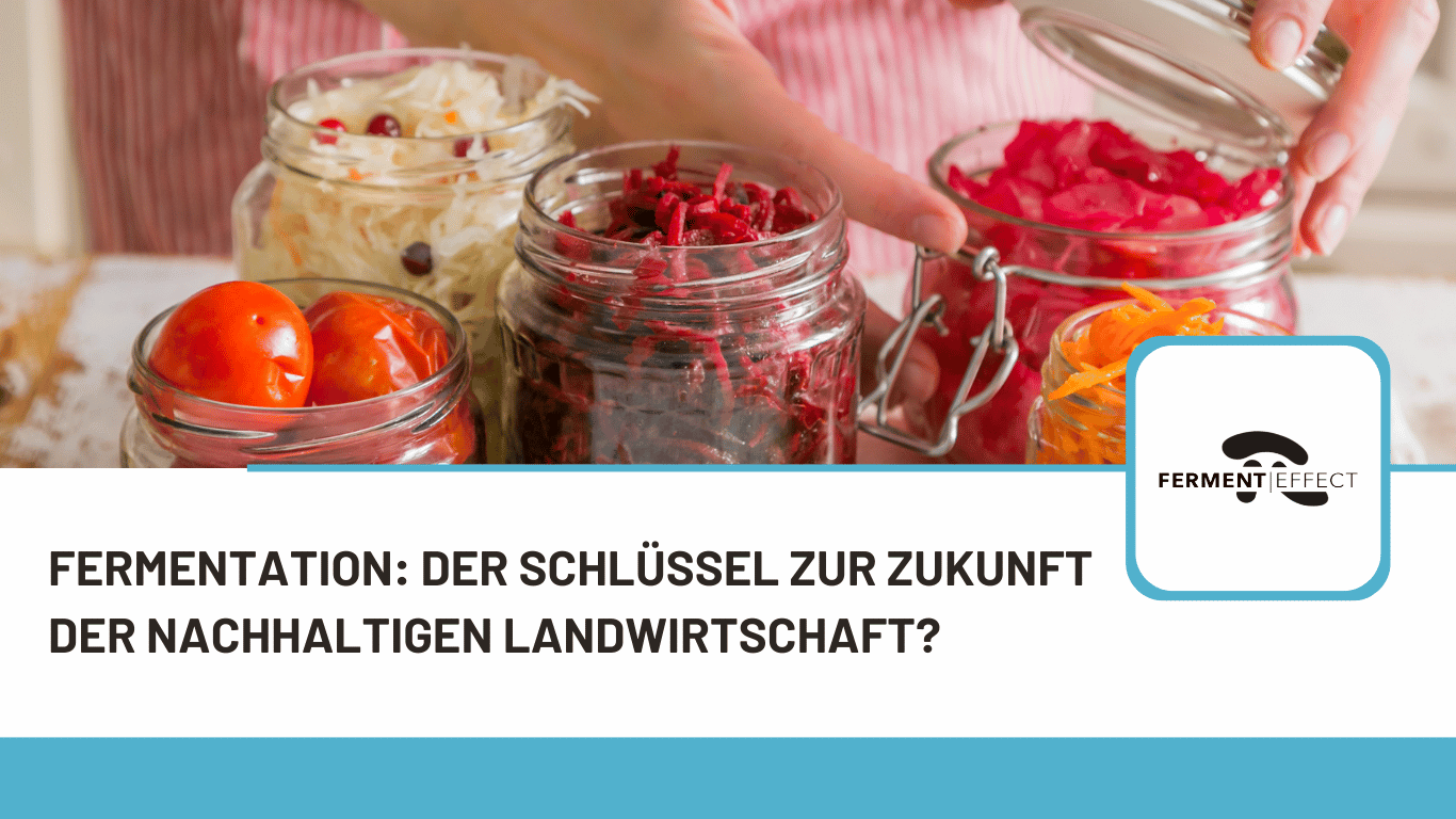 Ferment Effect - Fermentation als nachhaltige Landwirtschaft