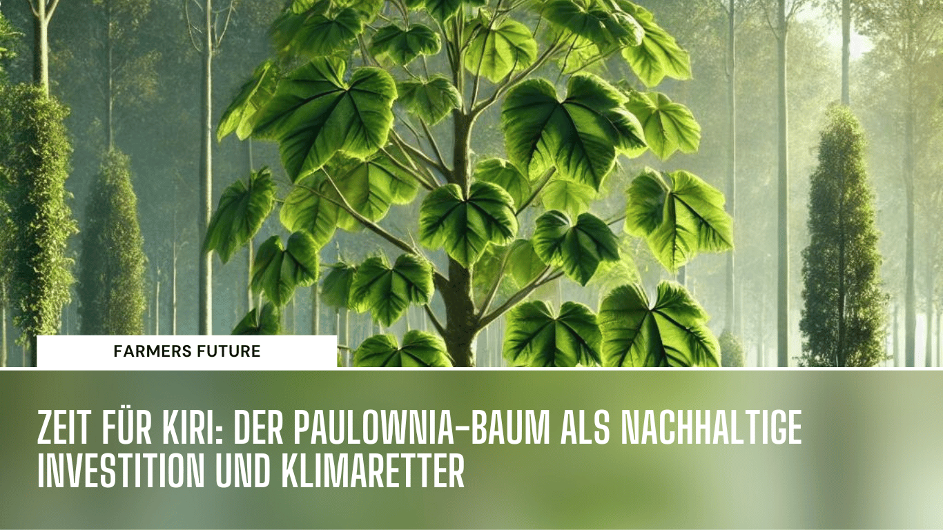 Klimaretter Paulownia - Farmers Future